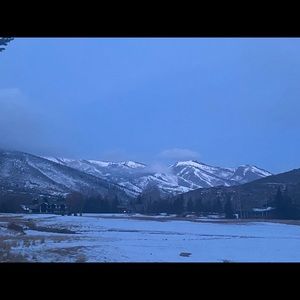 Meet your Posher, Annie